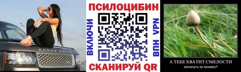 Псилоцибиновые грибы Cubensis Навашино